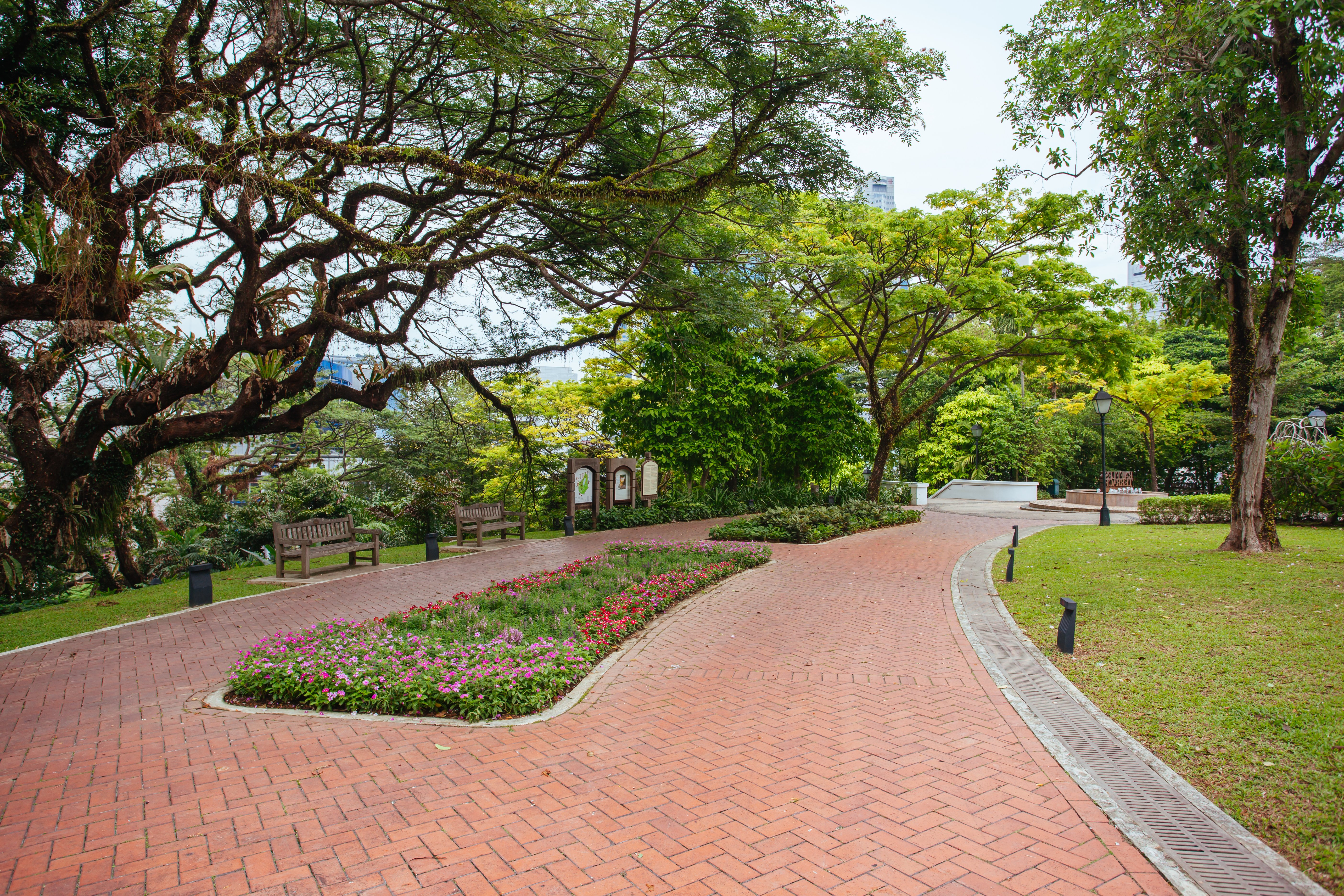 fort-canning-park-in-singapore-2026-01-08-22-37-14-utc