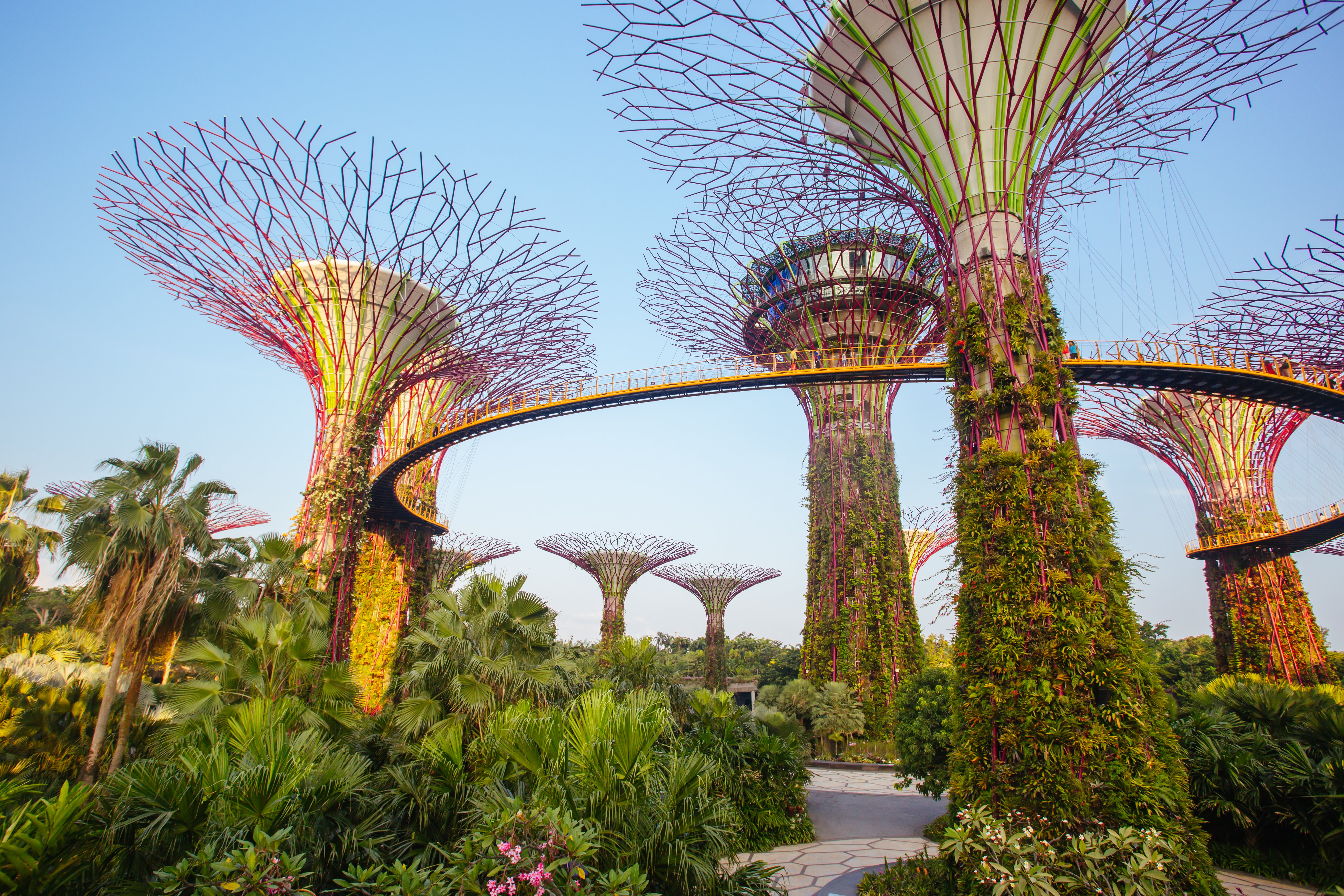 gardens-by-the-bay-in-singapore-2026-03-20-00-18-59-utc