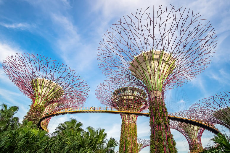 the-supertree-grove-at-gardens-by-the-bay-with-mar-2026-03-20-00-13-36-utc